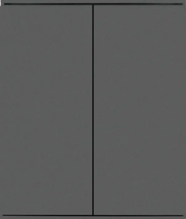 2 gang 1 way,(black100,gray100,gold100)