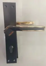 مقبض باب سلفر جولد