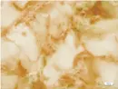 [350] بديل الرخامGOLD LION 1.22m*2.9m*2.5mm